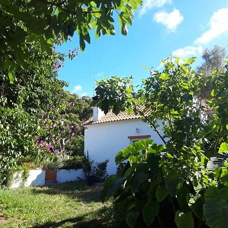 Quinta Algarve Das Relvinhas 몬시크 외부 사진