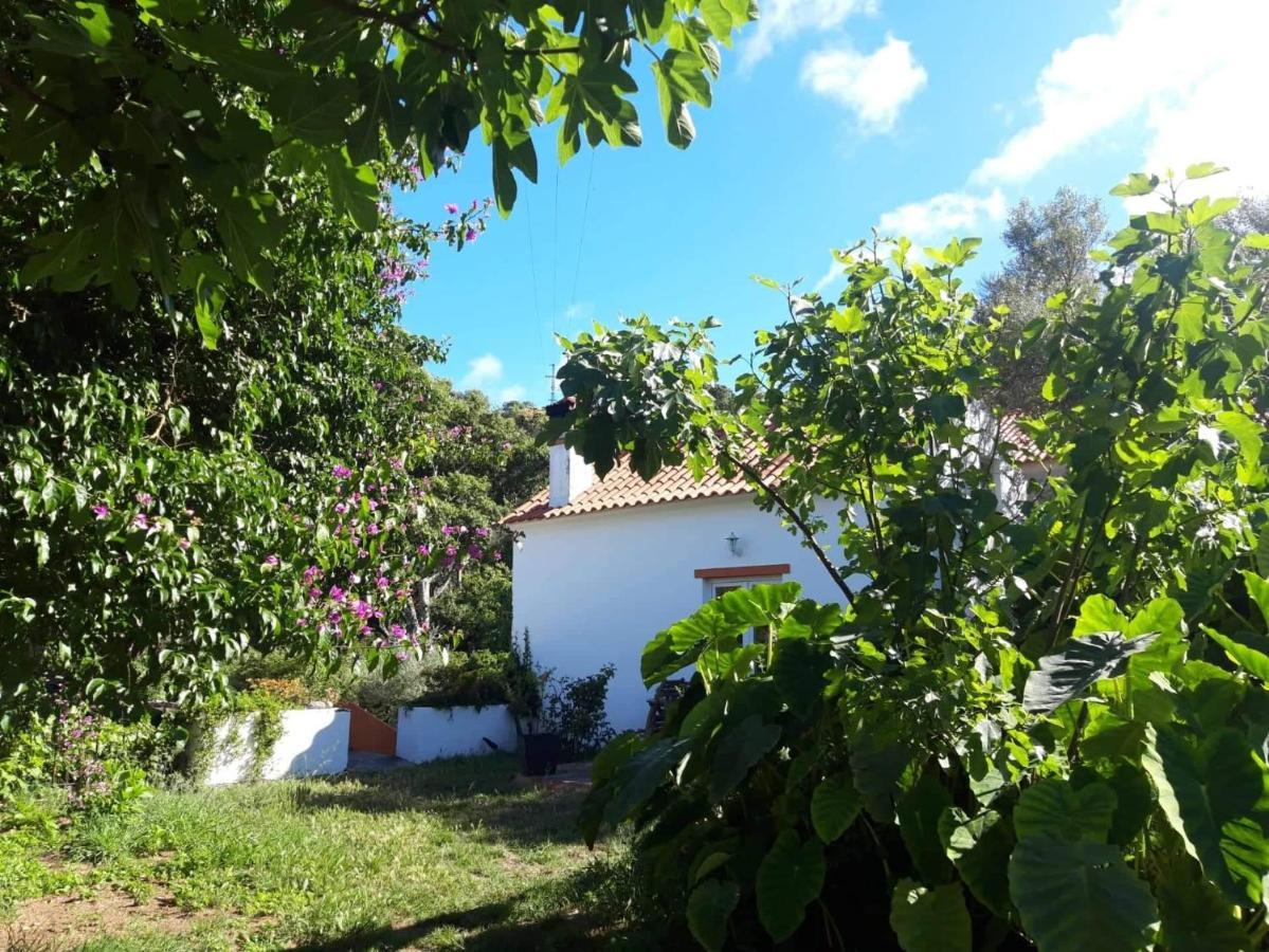 Quinta Algarve Das Relvinhas 몬시크 외부 사진