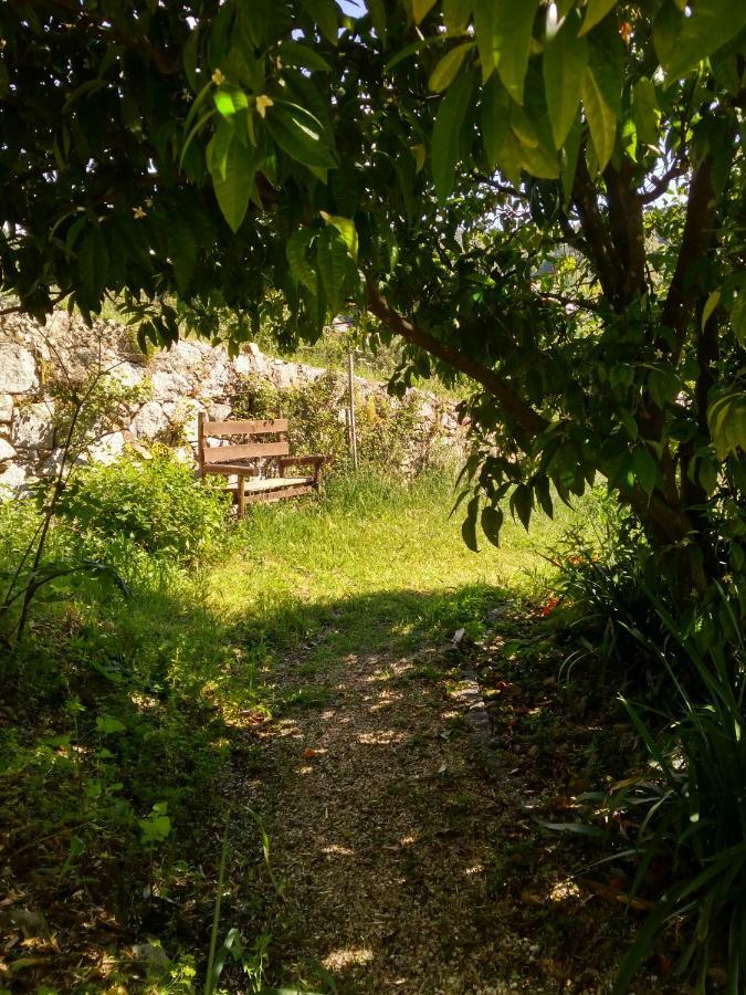 Quinta Algarve Das Relvinhas 몬시크 외부 사진
