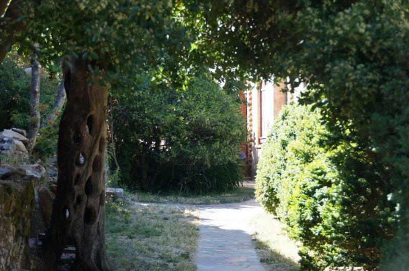 Quinta Algarve Das Relvinhas 몬시크 외부 사진